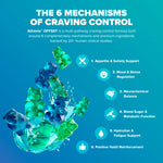 Athonix OFFSET infographic displaying the 6 mechanisms of craving control